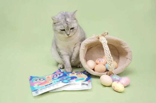 8 Cat Easter Basket Gift Ideas You Will Love