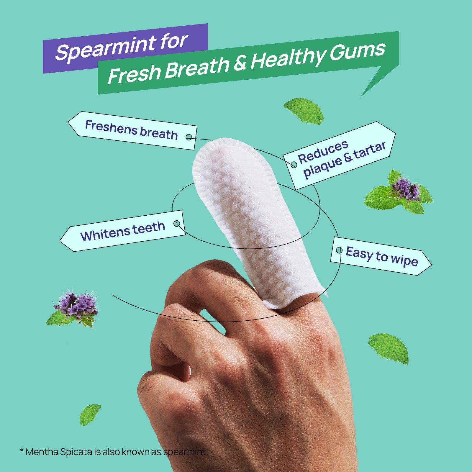 Dog Dental Cleaning Finger Wipes Spearmint Scent 50 Pcs