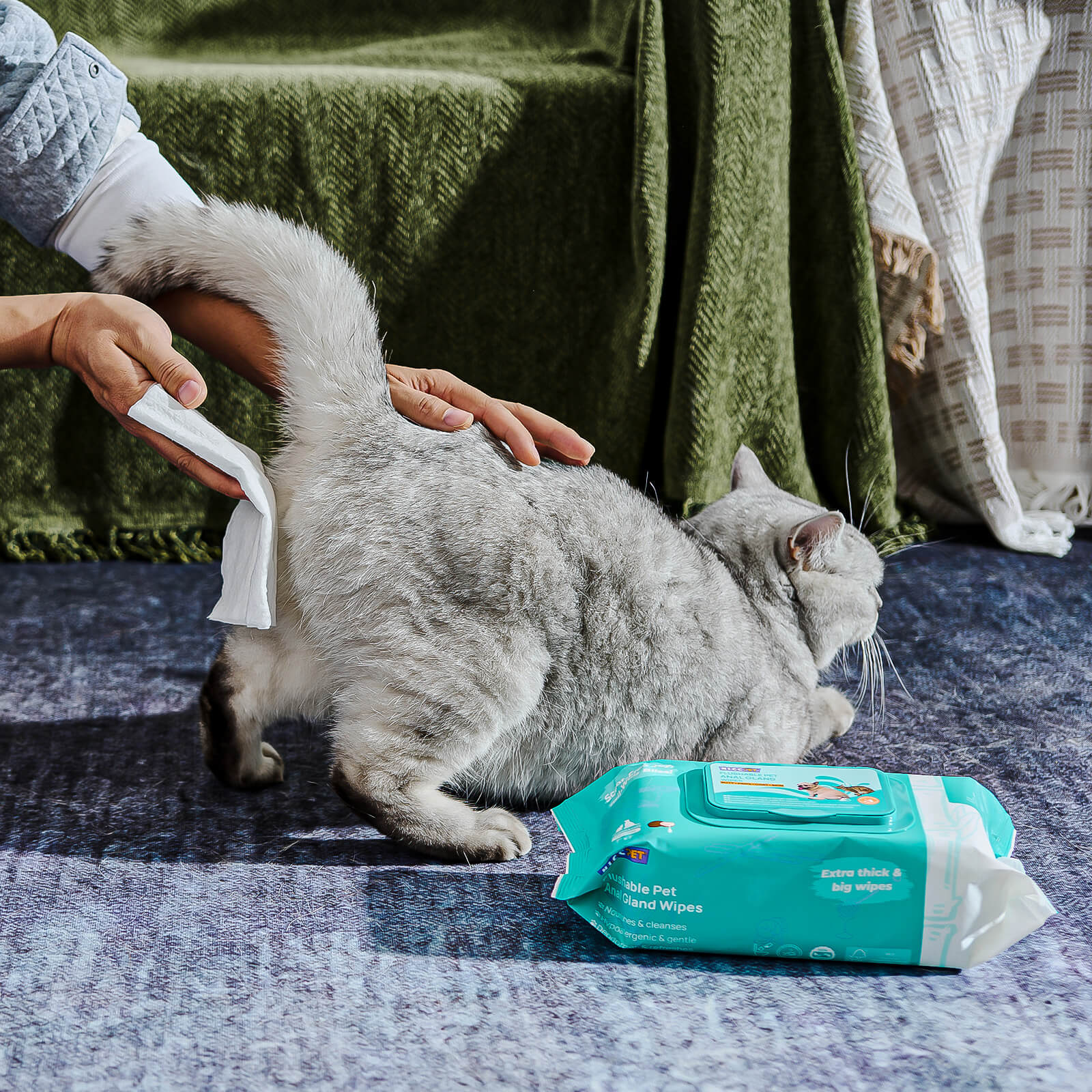 Flushable Cat Anal Gland Wipes - Set of 4
