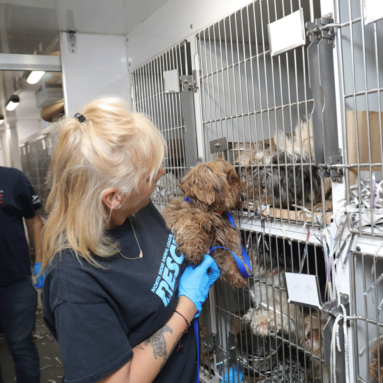 Donation & Help with HICCPet